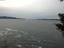 ./images/koeye/fitz-hugh/20201116/fitz-hugh20201116_133501.jpg