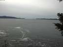 ./images/koeye/fitz-hugh/20201116/fitz-hugh20201116_134501.jpg