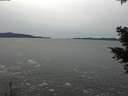 ./images/koeye/fitz-hugh/20201116/fitz-hugh20201116_135501.jpg