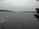 ./images/koeye/fitz-hugh/20201116/fitz-hugh20201116_141002.jpg