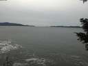 ./images/koeye/fitz-hugh/20201116/fitz-hugh20201116_141502.jpg
