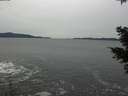 ./images/koeye/fitz-hugh/20201116/fitz-hugh20201116_142002.jpg