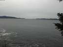 ./images/koeye/fitz-hugh/20201116/fitz-hugh20201116_142502.jpg