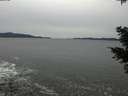 ./images/koeye/fitz-hugh/20201116/fitz-hugh20201116_143002.jpg