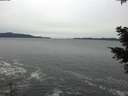 ./images/koeye/fitz-hugh/20201116/fitz-hugh20201116_143502.jpg