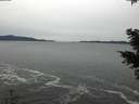 ./images/koeye/fitz-hugh/20201116/fitz-hugh20201116_144002.jpg