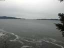 ./images/koeye/fitz-hugh/20201116/fitz-hugh20201116_144502.jpg