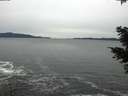 ./images/koeye/fitz-hugh/20201116/fitz-hugh20201116_145002.jpg