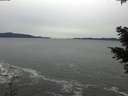 ./images/koeye/fitz-hugh/20201116/fitz-hugh20201116_145502.jpg