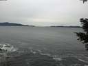 ./images/koeye/fitz-hugh/20201116/fitz-hugh20201116_150002.jpg