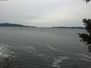 ./images/koeye/fitz-hugh/20201116/fitz-hugh20201116_150501.jpg