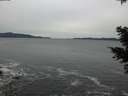 ./images/koeye/fitz-hugh/20201116/fitz-hugh20201116_151001.jpg