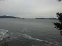 ./images/koeye/fitz-hugh/20201116/fitz-hugh20201116_151501.jpg