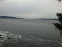 ./images/koeye/fitz-hugh/20201116/fitz-hugh20201116_152001.jpg