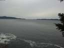 ./images/koeye/fitz-hugh/20201116/fitz-hugh20201116_152501.jpg