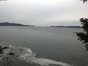 ./images/koeye/fitz-hugh/20201116/fitz-hugh20201116_153502.jpg