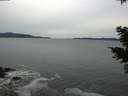 ./images/koeye/fitz-hugh/20201116/fitz-hugh20201116_154001.jpg