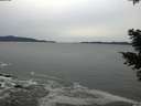 ./images/koeye/fitz-hugh/20201116/fitz-hugh20201116_154501.jpg