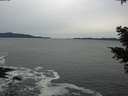 ./images/koeye/fitz-hugh/20201116/fitz-hugh20201116_155001.jpg