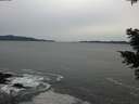 ./images/koeye/fitz-hugh/20201116/fitz-hugh20201116_155501.jpg