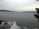 ./images/koeye/fitz-hugh/20201116/fitz-hugh20201116_160001.jpg