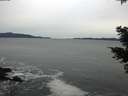 ./images/koeye/fitz-hugh/20201116/fitz-hugh20201116_160501.jpg