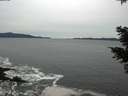 ./images/koeye/fitz-hugh/20201116/fitz-hugh20201116_161501.jpg