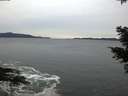 ./images/koeye/fitz-hugh/20201116/fitz-hugh20201116_162501.jpg