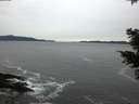 ./images/koeye/fitz-hugh/20201116/fitz-hugh20201116_164501.jpg