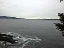 ./images/koeye/fitz-hugh/20201116/fitz-hugh20201116_165001.jpg