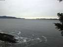 ./images/koeye/fitz-hugh/20201116/fitz-hugh20201116_165501.jpg