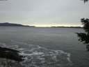 ./images/koeye/fitz-hugh/20201116/fitz-hugh20201116_170502.jpg