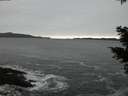 ./images/koeye/fitz-hugh/20201116/fitz-hugh20201116_171502.jpg