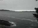 ./images/koeye/fitz-hugh/20201116/fitz-hugh20201116_172002.jpg