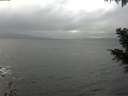 ./images/koeye/fitz-hugh/20201119/fitz-hugh20201119_134001.jpg