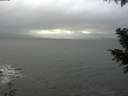 ./images/koeye/fitz-hugh/20201119/fitz-hugh20201119_134501.jpg