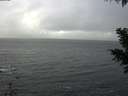 ./images/koeye/fitz-hugh/20201119/fitz-hugh20201119_135501.jpg