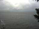 ./images/koeye/fitz-hugh/20201119/fitz-hugh20201119_140501.jpg