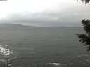 ./images/koeye/fitz-hugh/20201119/fitz-hugh20201119_144501.jpg
