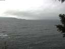 ./images/koeye/fitz-hugh/20201119/fitz-hugh20201119_145501.jpg
