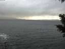 ./images/koeye/fitz-hugh/20201119/fitz-hugh20201119_151501.jpg