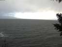 ./images/koeye/fitz-hugh/20201119/fitz-hugh20201119_152501.jpg