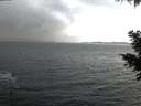 ./images/koeye/fitz-hugh/20201119/fitz-hugh20201119_153502.jpg