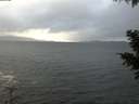 ./images/koeye/fitz-hugh/20201119/fitz-hugh20201119_155502.jpg