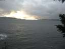 ./images/koeye/fitz-hugh/20201119/fitz-hugh20201119_160502.jpg