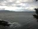 ./images/koeye/fitz-hugh/20201120/fitz-hugh20201120_110501.jpg