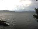./images/koeye/fitz-hugh/20201120/fitz-hugh20201120_111001.jpg