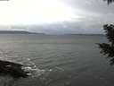 ./images/koeye/fitz-hugh/20201120/fitz-hugh20201120_112501.jpg