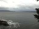 ./images/koeye/fitz-hugh/20201120/fitz-hugh20201120_113501.jpg