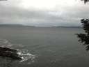 ./images/koeye/fitz-hugh/20201120/fitz-hugh20201120_114002.jpg